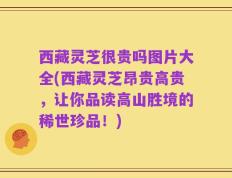 西藏灵芝很贵吗图片大全(西藏灵芝昂贵高贵，让你品读高山胜境的稀世珍品！)