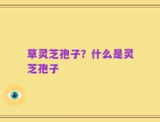 草灵芝孢子？什么是灵芝孢子