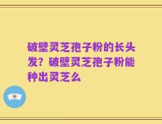 破壁灵芝孢子粉的长头发？破壁灵芝孢子粉能种出灵芝么
