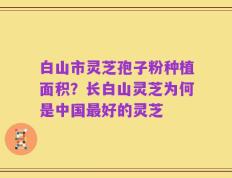 白山市灵芝孢子粉种植面积？长白山灵芝为何是中国最好的灵芝