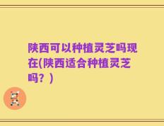 陕西可以种植灵芝吗现在(陕西适合种植灵芝吗？)
