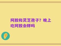 阿胶和灵芝孢子？晚上吃阿胶会胖吗
