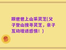跟爸爸上山采灵芝(父子登山搜寻灵芝，亲子互动增进感情！)