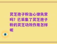 灵芝孢子粉治心律失常吗？已采集了灵芝孢子粉的灵芝功效作用怎样呢