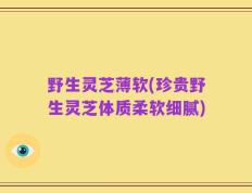 野生灵芝薄软(珍贵野生灵芝体质柔软细腻)