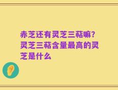 赤芝还有灵芝三萜嘛？灵芝三萜含量最高的灵芝是什么