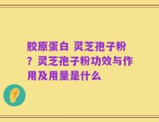 胶原蛋白 灵芝孢子粉？灵芝孢子粉功效与作用及用量是什么