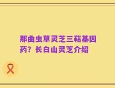 那曲虫草灵芝三萜基因药？长白山灵芝介绍