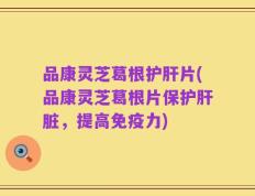 品康灵芝葛根护肝片(品康灵芝葛根片保护肝脏，提高免疫力)