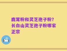 鹿茸粉和灵芝孢子粉？长白山灵芝孢子粉哪家正宗