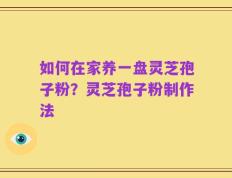 如何在家养一盘灵芝孢子粉？灵芝孢子粉制作法