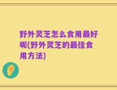 野外灵芝怎么食用最好呢(野外灵芝的最佳食用方法)