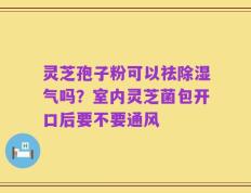 灵芝孢子粉可以祛除湿气吗？室内灵芝菌包开口后要不要通风