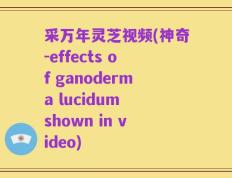 采万年灵芝视频(神奇-effects of ganoderma lucidum shown in video)