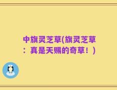 中旗灵芝草(旗灵芝草：真是天赐的奇草！)