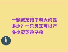一颗灵芝孢子粉大约是多少？一只灵芝可以产多少灵芝孢子粉