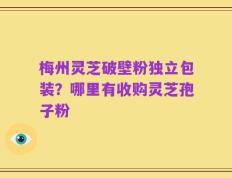 梅州灵芝破壁粉独立包装？哪里有收购灵芝孢子粉