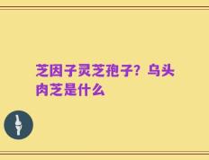 芝因子灵芝孢子？乌头肉芝是什么