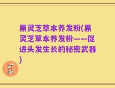 黑灵芝草本养发粉(黑灵芝草本养发粉——促进头发生长的秘密武器)