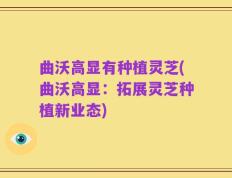 曲沃高显有种植灵芝(曲沃高显：拓展灵芝种植新业态)