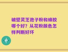 破壁灵芝孢子粉和蜂胶哪个好？从花粉颜色怎样判断好坏