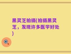 黑灵芝拍摄(拍摄黑灵芝，发现许多医学好处)