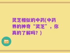 灵芝相似的中药(中药界的神奇“灵芝”，你真的了解吗？)