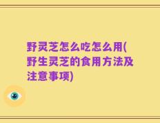 野灵芝怎么吃怎么用(野生灵芝的食用方法及注意事项)