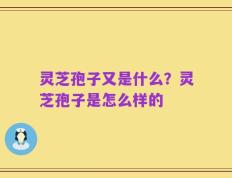 灵芝孢子又是什么？灵芝孢子是怎么样的