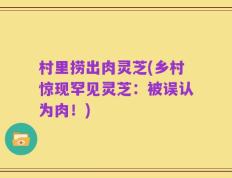村里捞出肉灵芝(乡村惊现罕见灵芝：被误认为肉！)