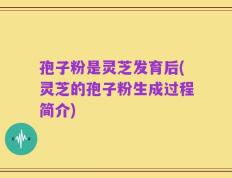 孢子粉是灵芝发育后(灵芝的孢子粉生成过程简介)