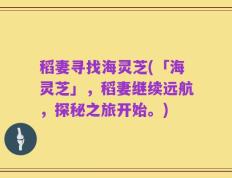 稻妻寻找海灵芝(「海灵芝」，稻妻继续远航，探秘之旅开始。)