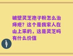 破壁灵芝孢子粉怎么治痔疮？这个是我家人在山上采的，这是灵芝吗有什么价值