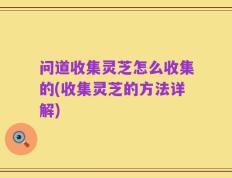 问道收集灵芝怎么收集的(收集灵芝的方法详解)