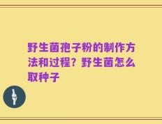 野生菌孢子粉的制作方法和过程？野生菌怎么取种子