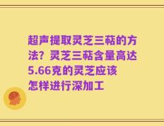 超声提取灵芝三萜的方法？灵芝三萜含量高达5.66克的灵芝应该怎样进行深加工