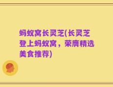 蚂蚁窝长灵芝(长灵芝登上蚂蚁窝，荣膺精选美食推荐)