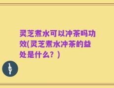 灵芝煮水可以冲茶吗功效(灵芝煮水冲茶的益处是什么？)