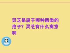 灵芝是属于哪种菌类的孢子？灵芝有什么寓意啊