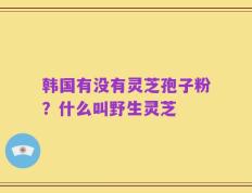 韩国有没有灵芝孢子粉？什么叫野生灵芝