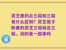 灵芝里的总三萜和三萜有什么区别？灵芝孢子粉里的灵芝三萜和总三萜，说的是一回事吗
