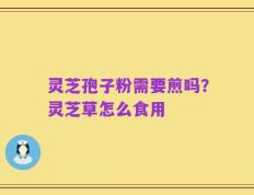灵芝孢子粉需要煎吗？灵芝草怎么食用