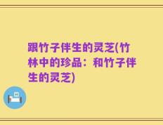 跟竹子伴生的灵芝(竹林中的珍品：和竹子伴生的灵芝)