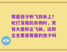 霉菌孢子粉飞到身上？吹打发霉的衣物时，常有大量粉尘飞扬，这粉尘主要是霉菌的孢子吗