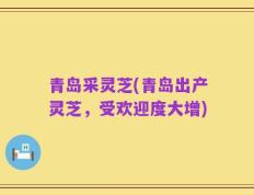 青岛采灵芝(青岛出产灵芝，受欢迎度大增)