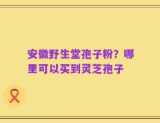 安徽野生堂孢子粉？哪里可以买到灵芝孢子