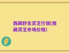 西藏野生灵芝行情(西藏灵芝市场价格)