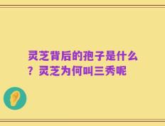 灵芝背后的孢子是什么？灵芝为何叫三秀呢