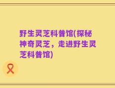 野生灵芝科普馆(探秘神奇灵芝，走进野生灵芝科普馆)