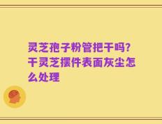 灵芝孢子粉管把干吗？干灵芝摆件表面灰尘怎么处理